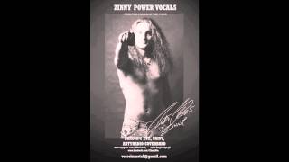 Zinny Power Vox  Rising Force Yngwie Malmsteen cover [upl. by Reneta]