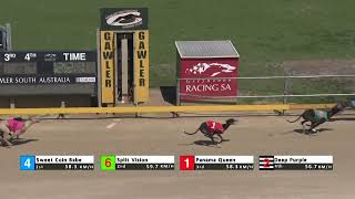 Gawler18092024Race4 [upl. by Davison]