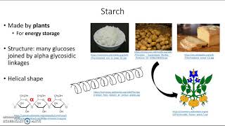 Polysaccharides  carbohydrate polymers [upl. by Itoc]