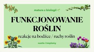 313  Ruchy roślin 🌼  tropizmy nastie aparaty szparkowe 🌷 matura z biologii 📕 liceum [upl. by Isla154]