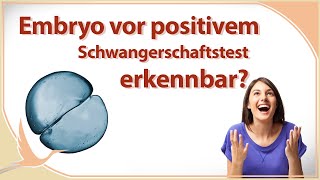 Einnistung vor positivem Schwangerschaftstest sichtbar  🤰🏻 Heidi Gößlinghoff [upl. by Yul]