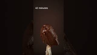 Melting Magnum Mini Double Starchaser Chocolate Caramel Popcorn flavor TimeLapse [upl. by Ahsek]