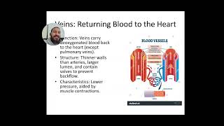 Comparison of arteries veins and capillaries [upl. by Rehpoitsirhc162]