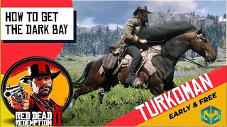 The Dark Bay Turkoman Get It Early amp Free Red Dead Redemption 2 [upl. by Ahsenyl629]