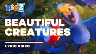 Rio 2  Beautiful Creatures Lyric Video  Letra [upl. by Ilojne]