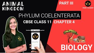 COELENTERATA CTENOPHORA amp PLATYHELMINTHES  Animal Kingdom  Class 11 Biology Chapter 4  Part 3 [upl. by Isteb]