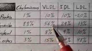 Lipoprotein Physiology Overview 14 [upl. by Sadirah]