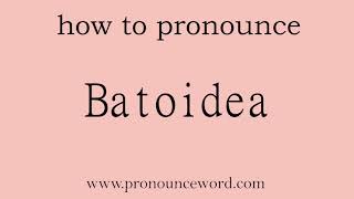 Batoidea How to pronounce Batoidea in english correctStart with B Learn from me [upl. by Powers490]