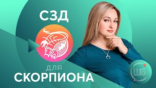 СЗД для Скорпиона Солнцезажигающие действия СЗД для знаков Зодиака [upl. by Disario]