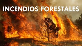 INCENDIOS FORESTALES COMBUSTIBLES VEGETALES y INCENDIOS [upl. by Ecila]