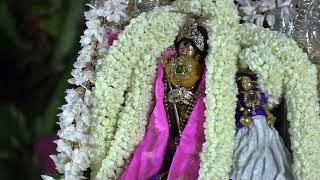 SRI BAKTHA KOLAHALAN BRAHMOTHSAVAM  YAANAI VAAHANAM RAASAM  PARANUR  DAY 6 [upl. by Nnybor]