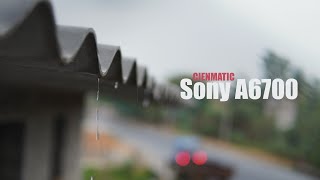 Sony A6700 Cinematic View  4k Video Quality  Sigma 30mm F14 [upl. by Haugen566]