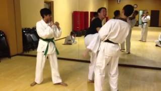 Taekwondo ObverseReverseTurning Kick Drill [upl. by Blim]