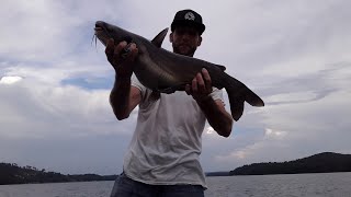 Jug fishing lake GuntervilleAl [upl. by Starling]