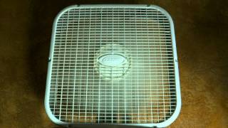 8hr Box Fan on Low Speed quotSleep Soundsquot [upl. by Aicemaj267]