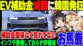 日本のEV補助金減額に発狂する韓国現代自動車【ゆっくり解説】 [upl. by Lletram]