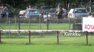 Whippet Saluki Basenji and Italian Greyhound racing Kuninkuusjuoksut  Finaalit [upl. by Suolevram94]