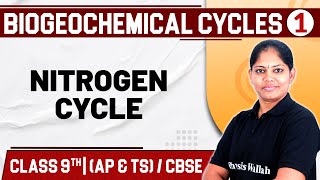 BIOGEOCHEMICAL CYCLES 01  Nitrogen cycle  Biology  Class 9th   TS [upl. by Alvin374]