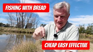 Bread Punch Fishing Basics  Easy Guide for Pole or Waggler [upl. by Adnir]