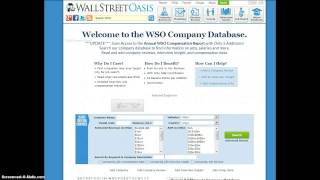 WSO Company Database [upl. by Ysteb]