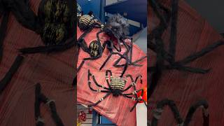 ARANHAS GIGANTES na BIG Festas de Curitiba halloween2024 halloweendecorations dicasdehalloween [upl. by Darnall]