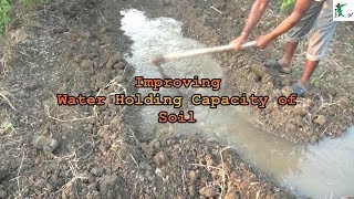 Improving water holding capacity of soil  Farm Innovator Subhash Sharma 24 [upl. by Eiznik529]