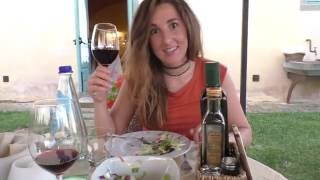 VLOG 16 DEEL 1 Vakantie Italië TOSCANE [upl. by Refinej343]