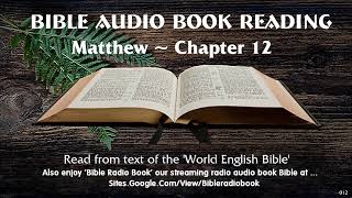 Matthew chapter 12  Audio Bible Reading  New Testament from the World English Bible [upl. by Katherin]