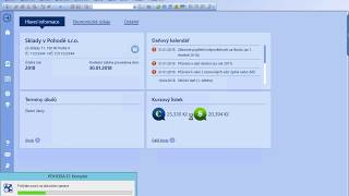 POHODA Kompletní průvodce vykazováním Intrastatu  Zjednodušte si reporting [upl. by Allekim]