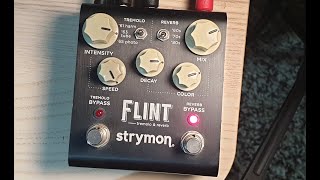 Strymon Flint STEREO Demo [upl. by Newcomb12]