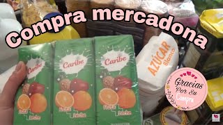 🛒 COMPRA MENSUAL MERCADONA 💸🙈  ¡¡CON PRECIOS 🛍 [upl. by Nahtannoj]