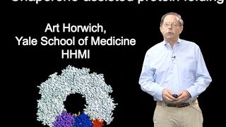 Arthur Horwich YaleHHMI Part 1B Chaperoneassisted protein folding [upl. by Essile680]