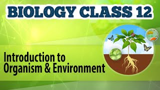 Organisms and Population FULL CHAPTER  NCERT Class 12th Botany  Chapter 17  Yakeen NEET [upl. by Dorrie]