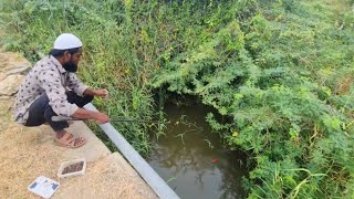 amazing fishing with hook hit red billed fishes in every single top  fishing video fish fishing [upl. by Sutherland]