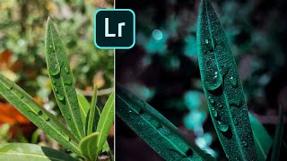 How to edit greeny leaf using Lightroom  Easy and simple editing tutorial Lightroom mobile editing [upl. by Apicella393]