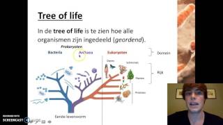 Ordening  Het indelen van organismen [upl. by Gerfen55]