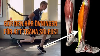 Träna soleus inre vadmuskeln [upl. by Aiciles]