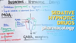 SedativeHypnotic drugs part 2 CNS pharmacology made EASY and QUICK [upl. by Yanarp]