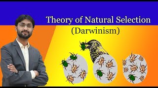 Introduction to Natural Selection [upl. by Ibmat798]