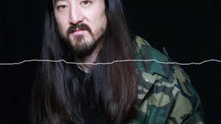 Steve Aoki reacts to Aviciis death [upl. by Anastatius]