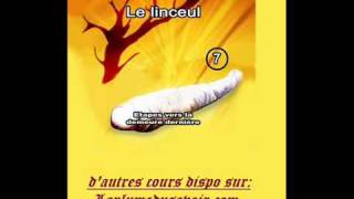 07 LE LINCEUL  ETAPES VERS LA DEMEURE DERNIERE 33 [upl. by Lobell]