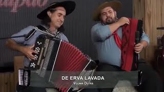 Volmir Dutra · De Erva Lavada 🎹🎶 Encontro com Os Serranos na TV 📺 [upl. by Hemetaf]