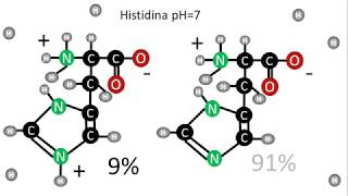 pKa de los aminoácidos  Cargas de la histidina a pH 7 [upl. by Yramliw]