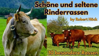 Schöne und seltene Rinderrassen  Eine Dokumentation über Kühe  Tiere Film von Robert Höck HD [upl. by Silin951]