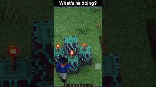 Whats he summon minecraft shorts minecraftshorts [upl. by Worthy35]