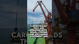 What is Grain Cargo in bulk ship sea seaman [upl. by Eniladam]