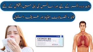 uses for Cedrox Bd 500 mg Tablet Cefadroxil 500mg cedrox bd tablet uses in urdu how to use cedrox [upl. by Jakoba]