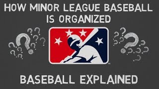 How Minor League Baseball is Organized  Baseball Explained [upl. by Nnyrb421]