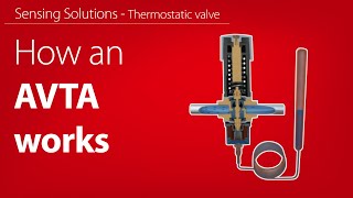 How the AVTA thermooperated water valve works  Working animation [upl. by Aserej374]