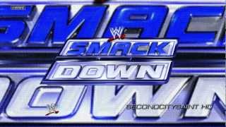 WWE quotBorn 2 Runquot ► SmackDown 13th Theme Song [upl. by Yelram]